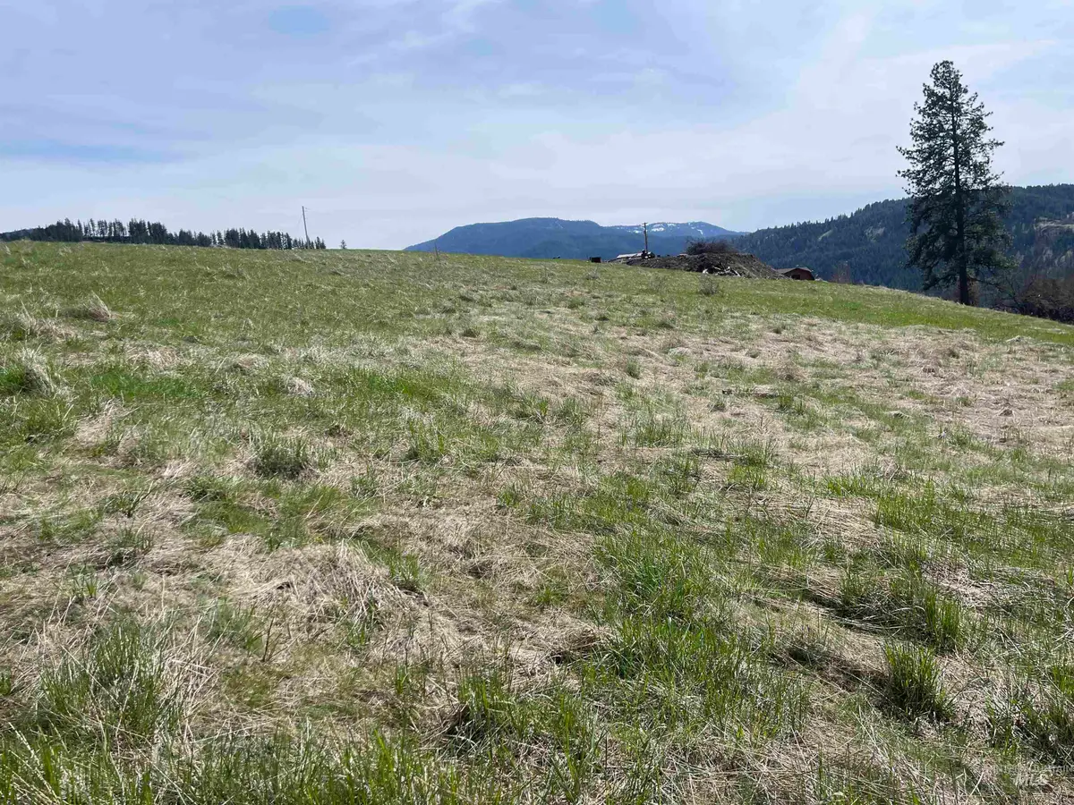 TBD Wagon Wheel Rd, Harpster, ID 83552 - #1
