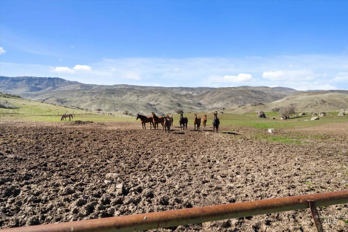 11555 Liberty Rd, Sweet, ID 83670 - #1