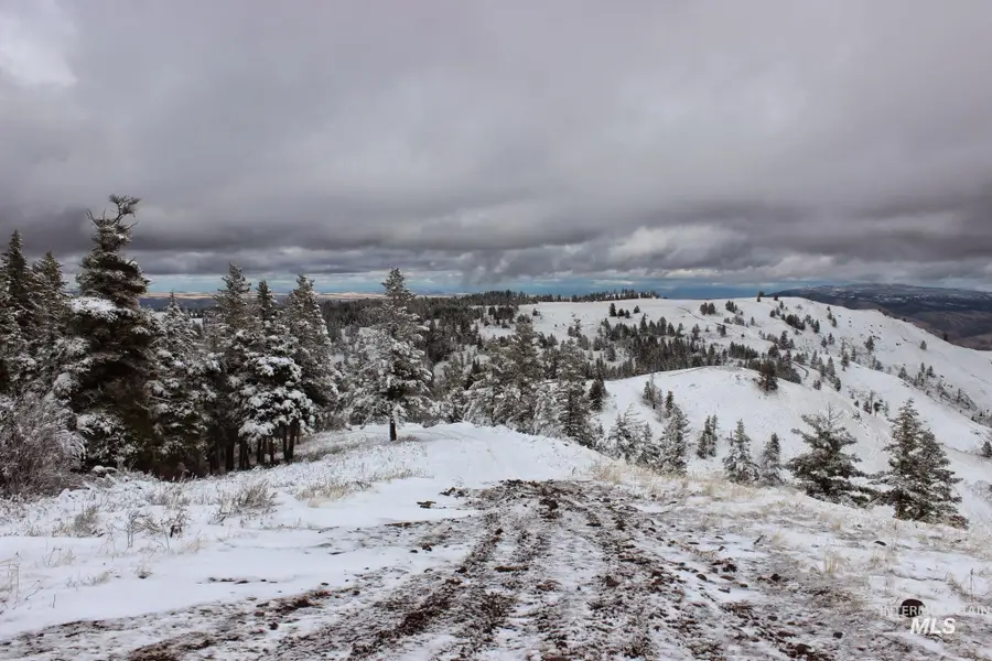 478 Deer Gulch Rd, Cottonwood, ID 83522 - #3