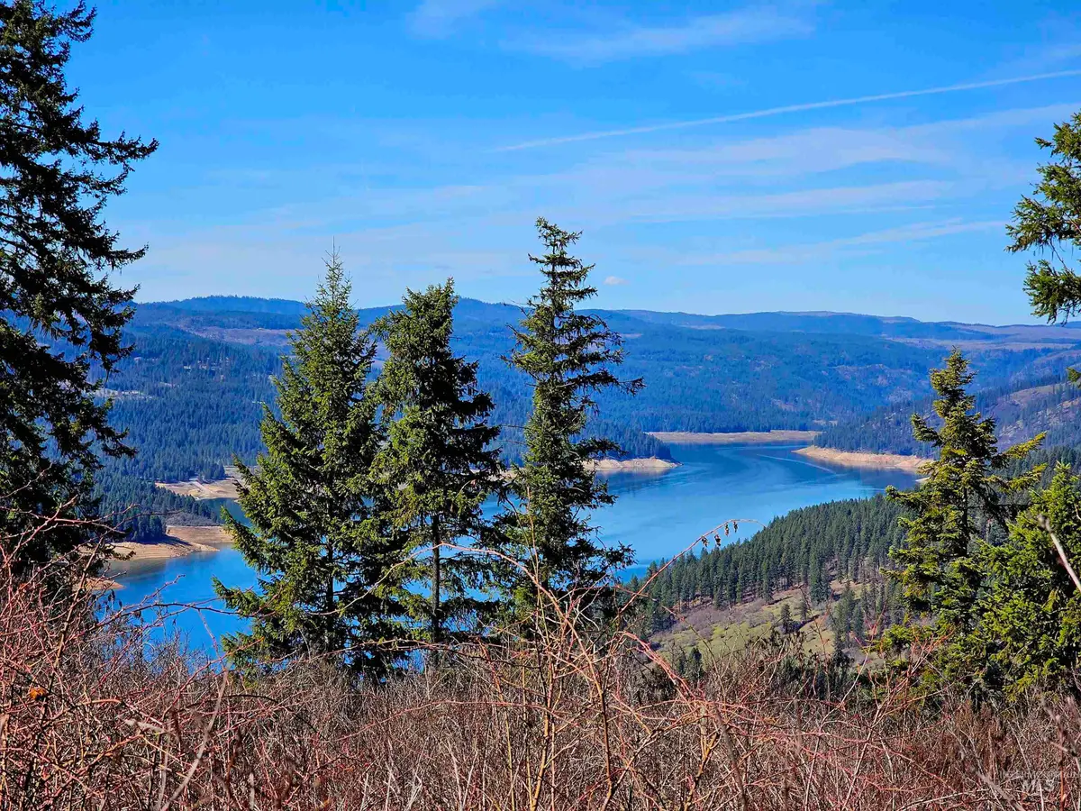 86 Moon River Lane, Orofino, ID 83544 - #1