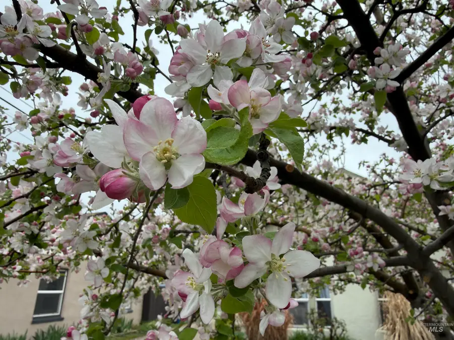 2606-08 W Bella St, Boise, ID 83702 - #3