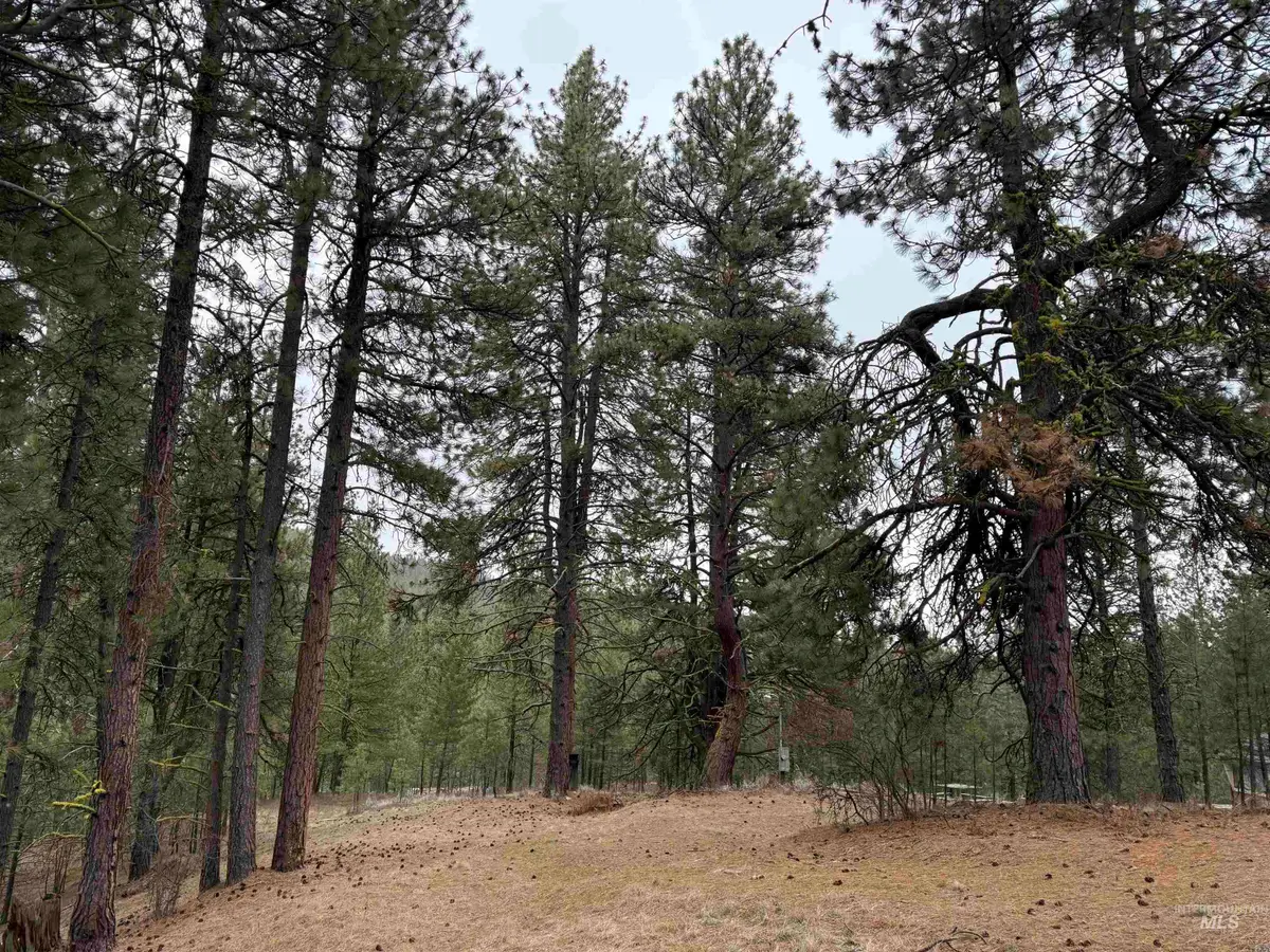 Lot 16 Sunset Loop, Cascade, ID 83611 - #1