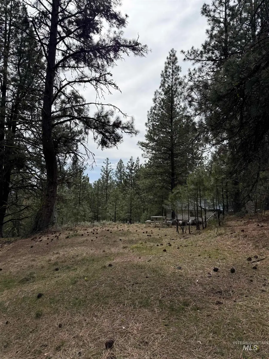Lot 16 Sunset Loop, Cascade, ID 83611 - #3