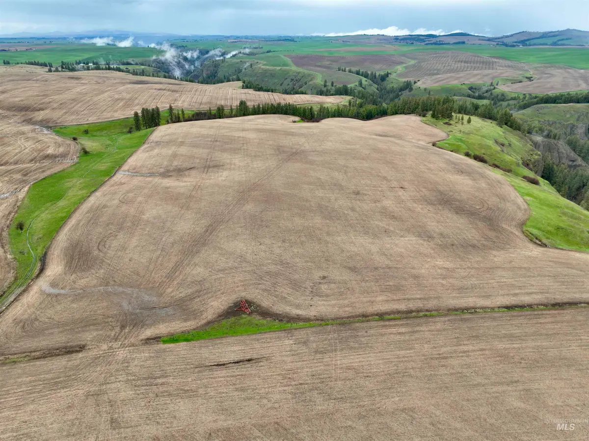 TBD Younger Rd, Craigmont, ID 83523 - #1