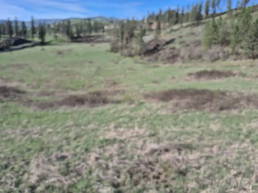 TBD Elk Hill St. Lot # 3, Kamiah, ID 83536 - #2