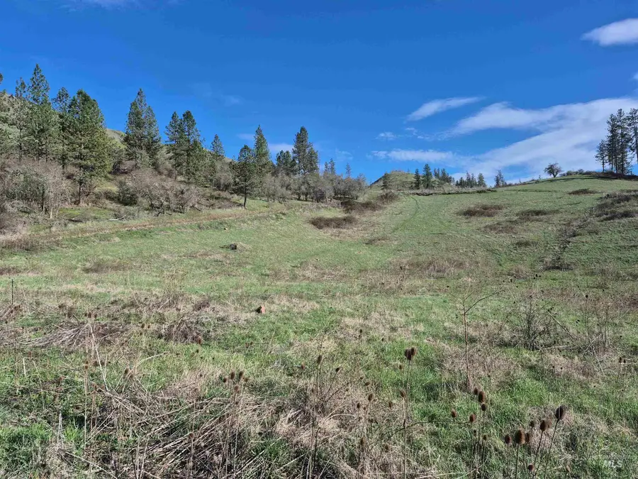 TBD Elk Hill St. Lot # 3, Kamiah, ID 83536 - #3
