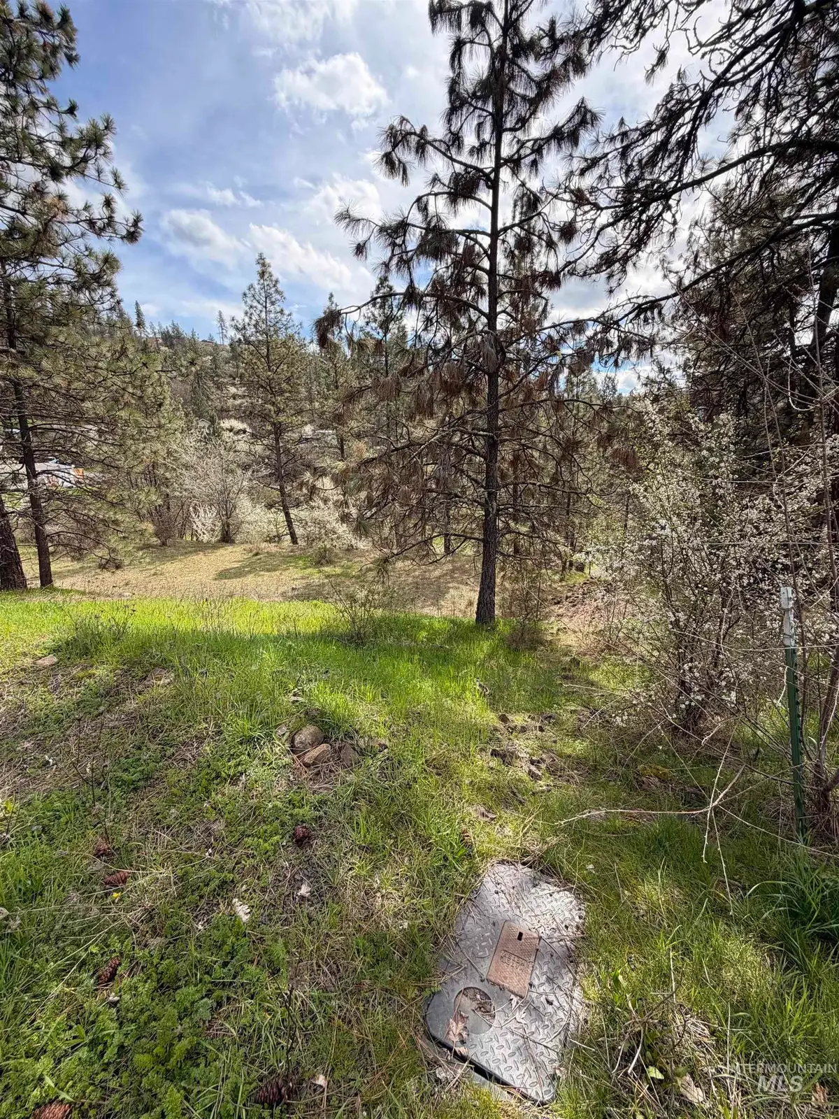 TBD Carlisle Ct Lots 11 & 15, Kamiah, ID 83536 - #1