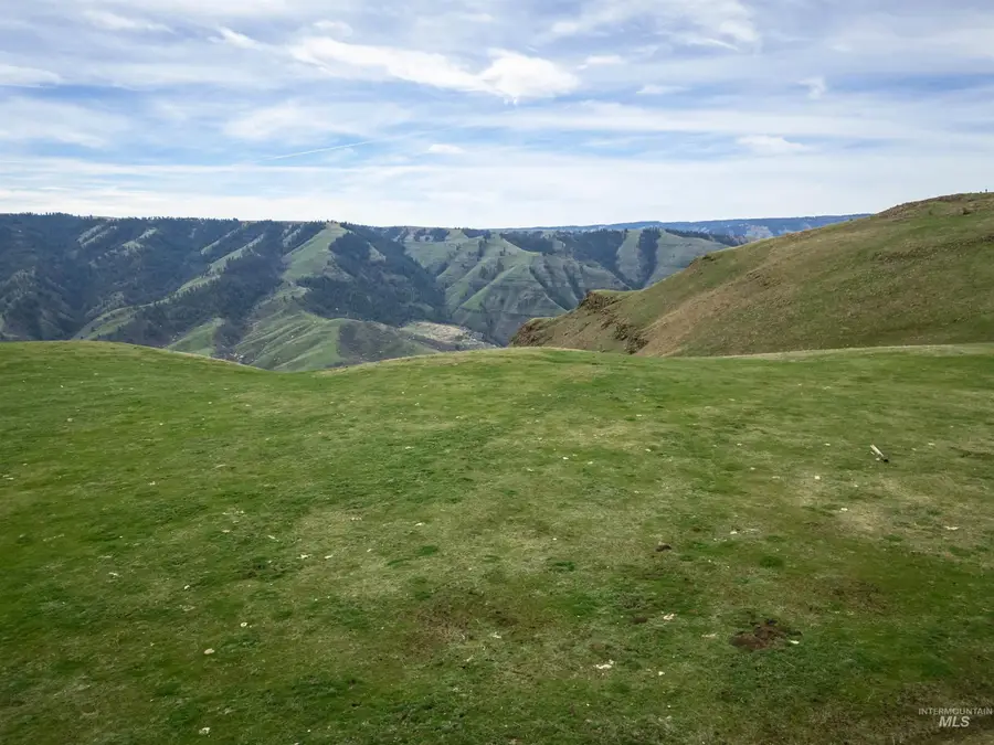 Lot 9 Salmon River Canyon Estates, Grangeville, ID 83530 - #3