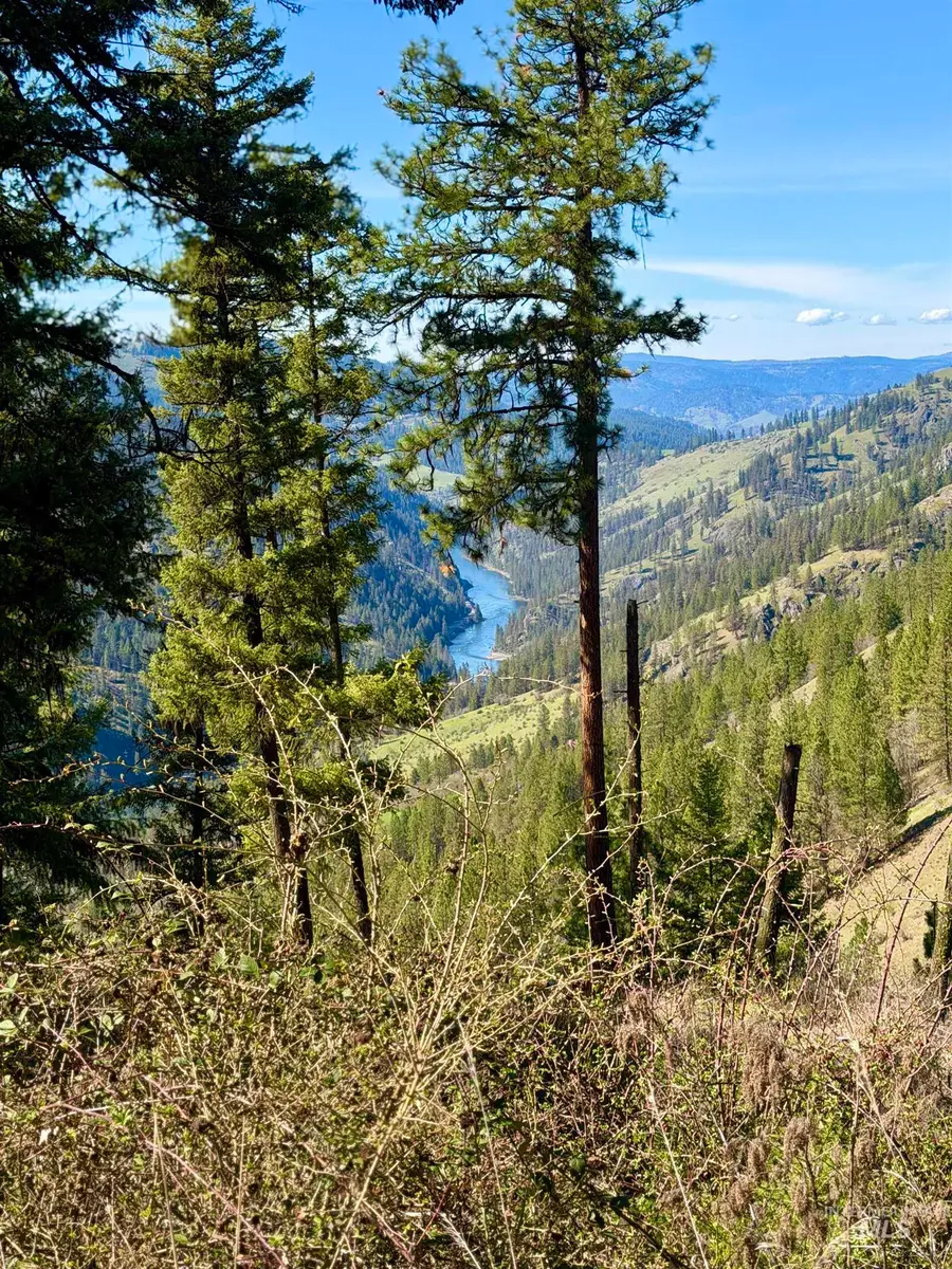 4012 Highway 11, Orofino, ID 83544 - #2