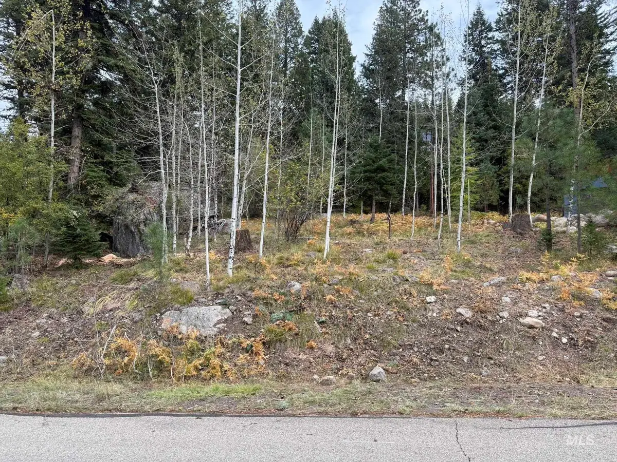 1365 Majestic View Dr, McCall, ID 83638 - #1