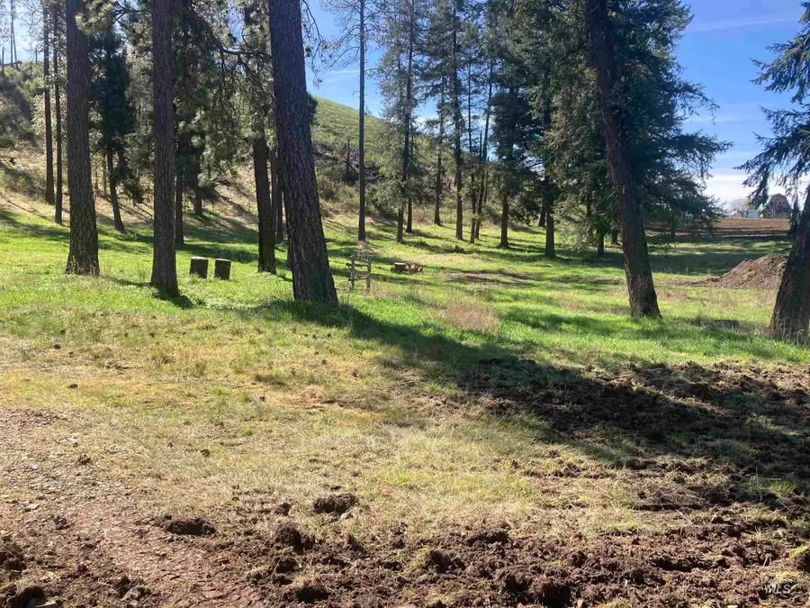 TBD Rangeline Drive, Kamiah, ID 83536 - #3