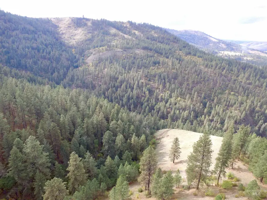 TBD Summit Grade Parcel "d", Lenore, ID 83501 - #2