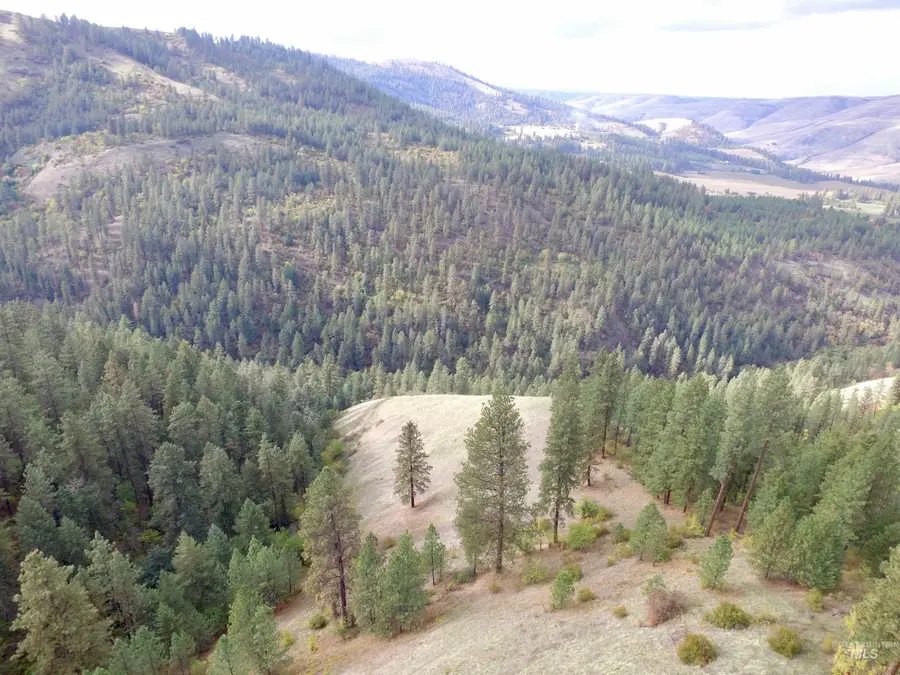 TBD Summit Grade Parcel "d", Lenore, ID 83501 - #3