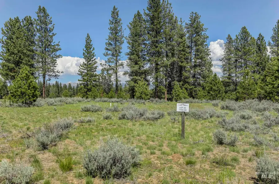 8 Targhee, McCall, ID 83638 - #2