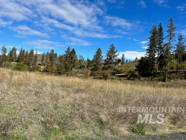 TBD Lot 1 Elk Hill Road, Kamiah, ID 83536