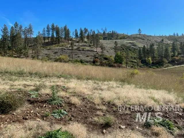 TBD Lot 2 Elk Hill Road, Kamiah, ID 83536 - #3