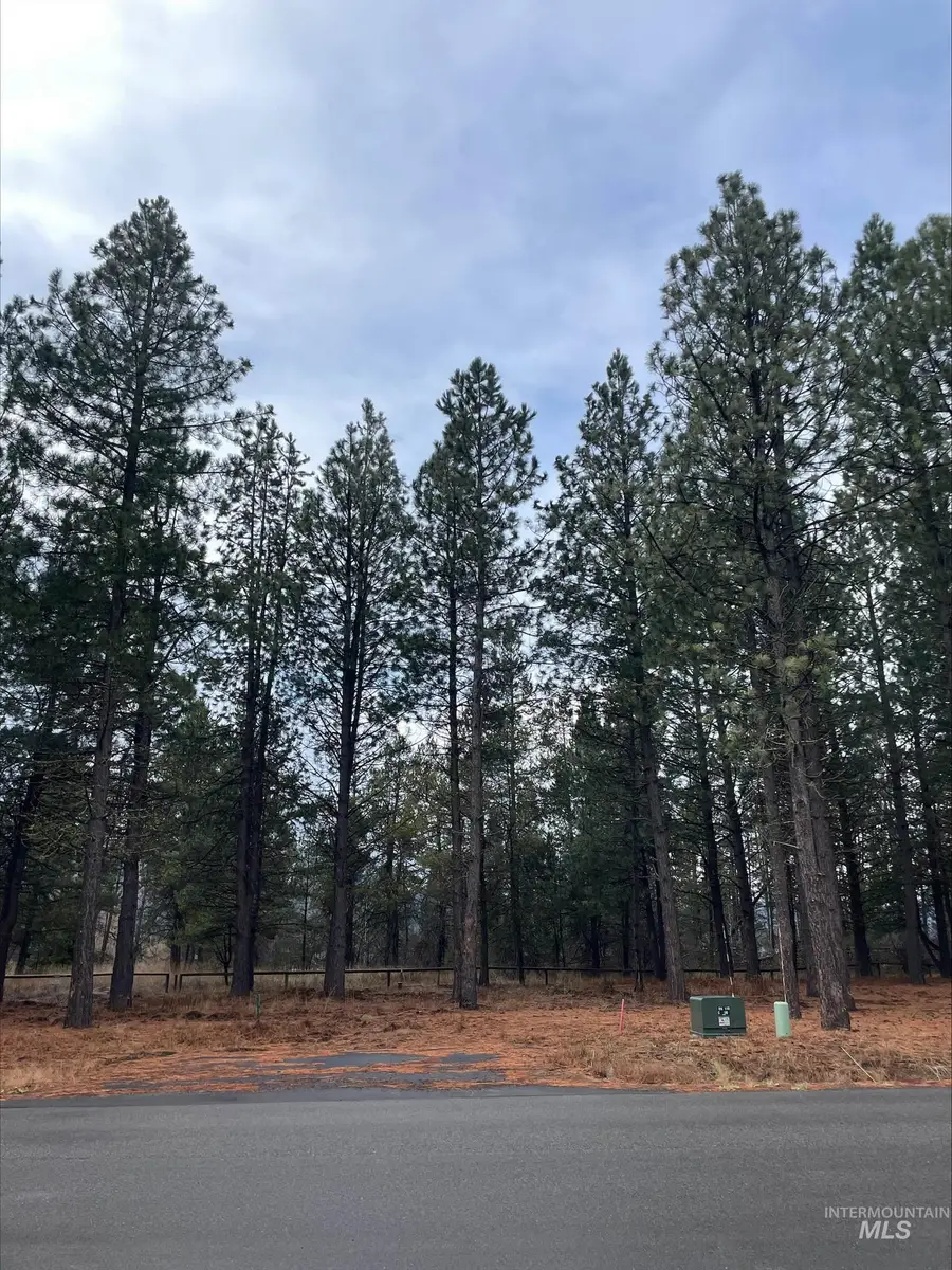 13055 Dawn Drive, Donnelly, ID 83615 - #3