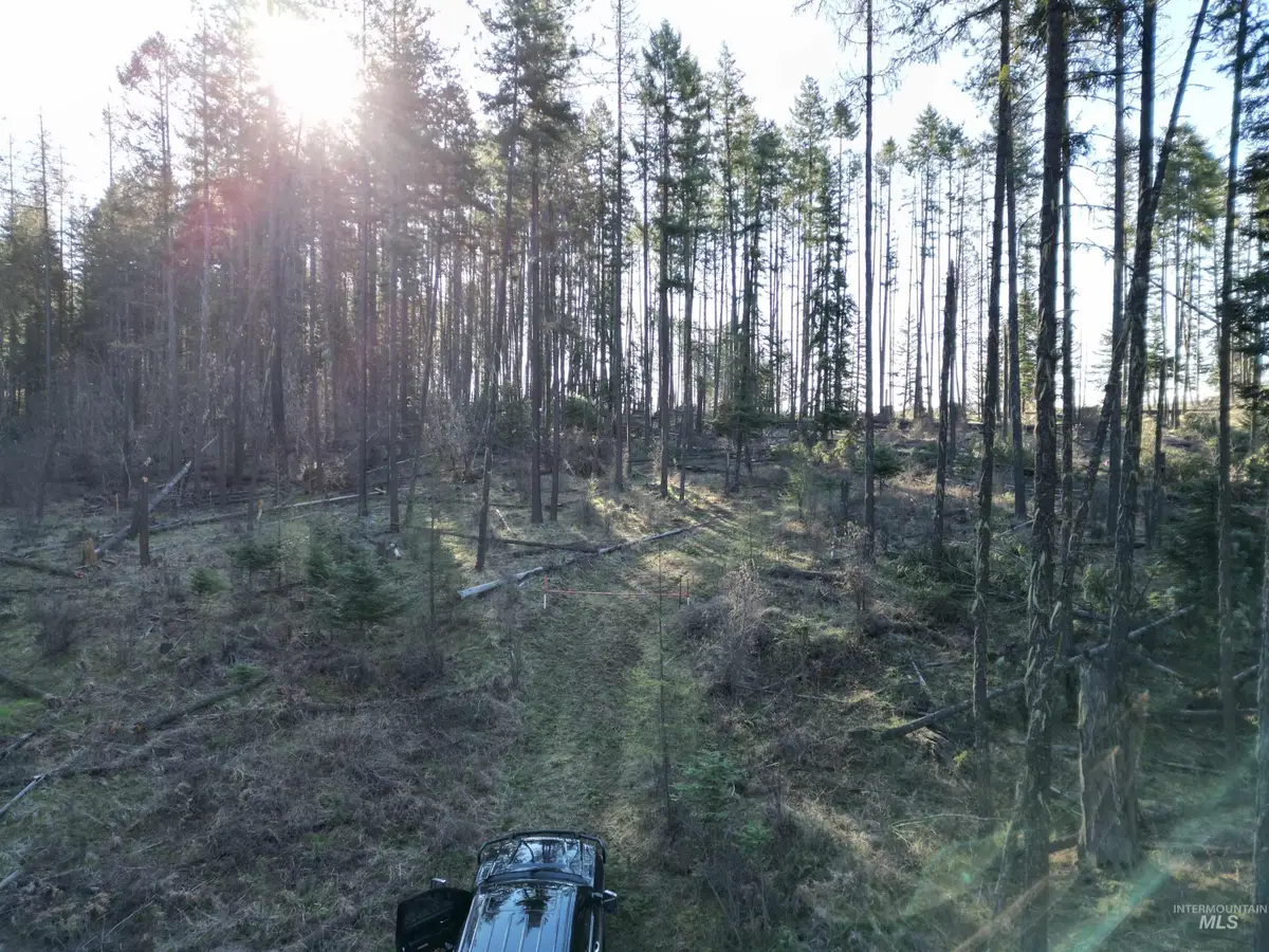 TBD Dent Bridge Road, Orofino, ID 83544 - #1