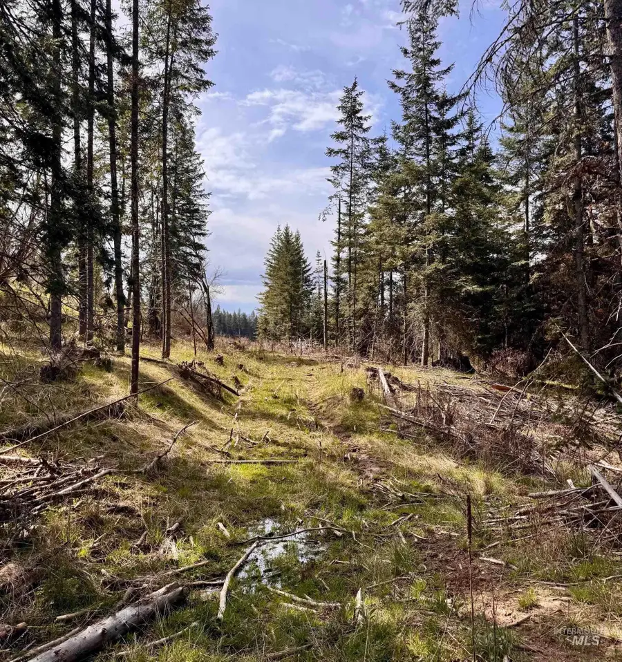 TBD Harris Ridge Rd, Kooskia, ID 83539 - #3
