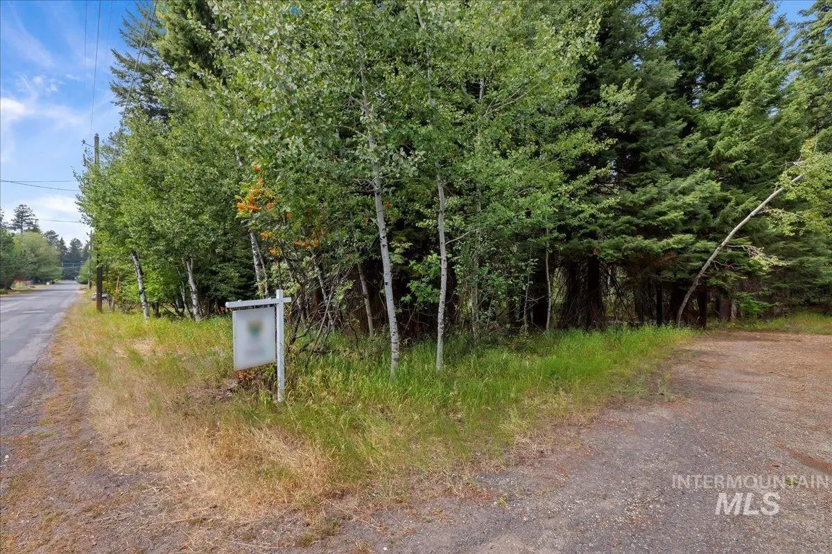 813 Reedy Ln, McCall, ID 83638 - #1