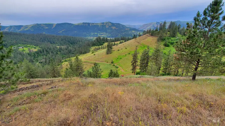 136 Heavy Grace Ln, Kamiah, ID 83536 - #2