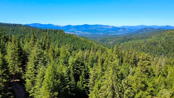 1522 Alpine Dr, Fernwood, ID 83830