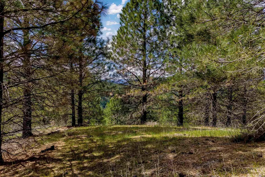 TBD Trails End Way, Boise, ID 83716 - #2