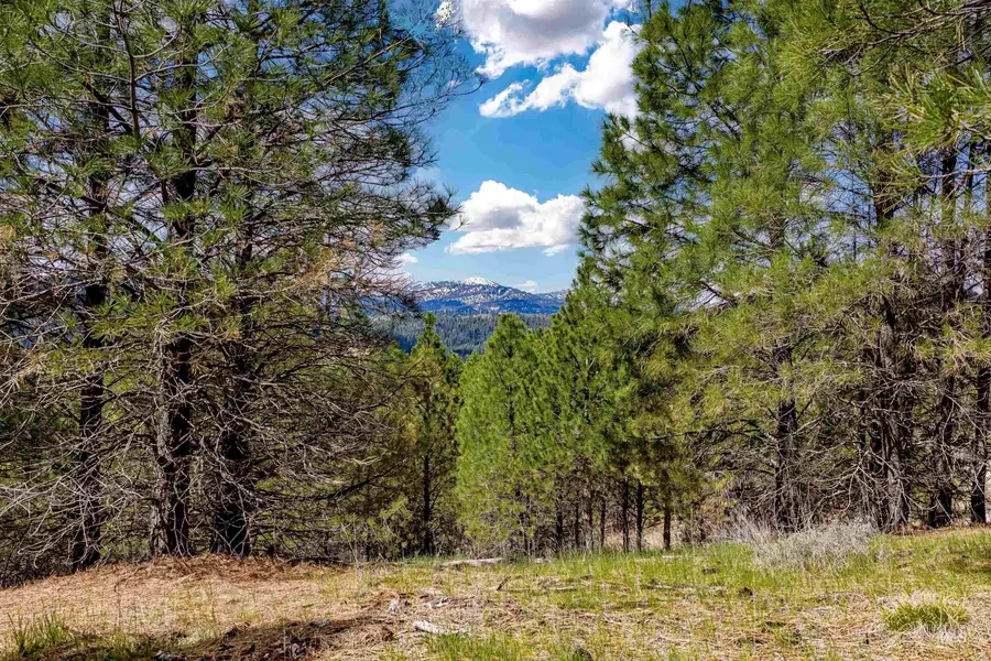 TBD Trails End Way, Boise, ID 83716 - #3