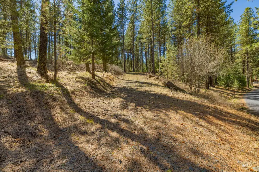 Lot 27 Hot Springs Road, New Meadows, ID 83654 - #3