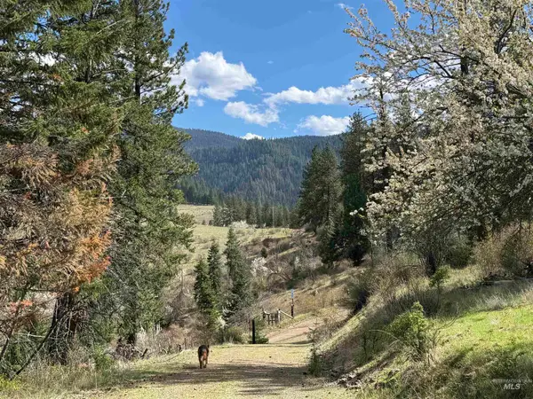 442 Elk City Wagon Rd, Clearwater, ID 83552