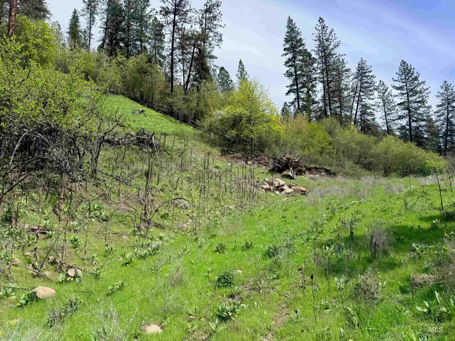 1620 & 0 Forsman Ave, Orofino, ID 83544 - #3