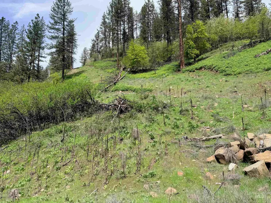 1620 Forsman Ave, Orofino, ID 83544 - #3