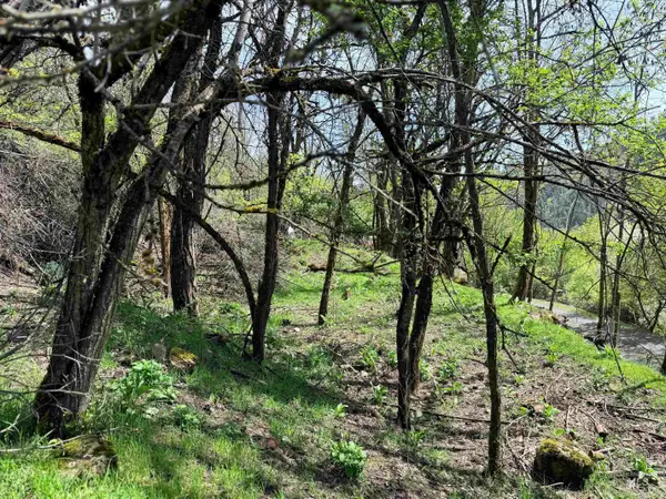 0 Forsman Ave, Orofino, ID 83544