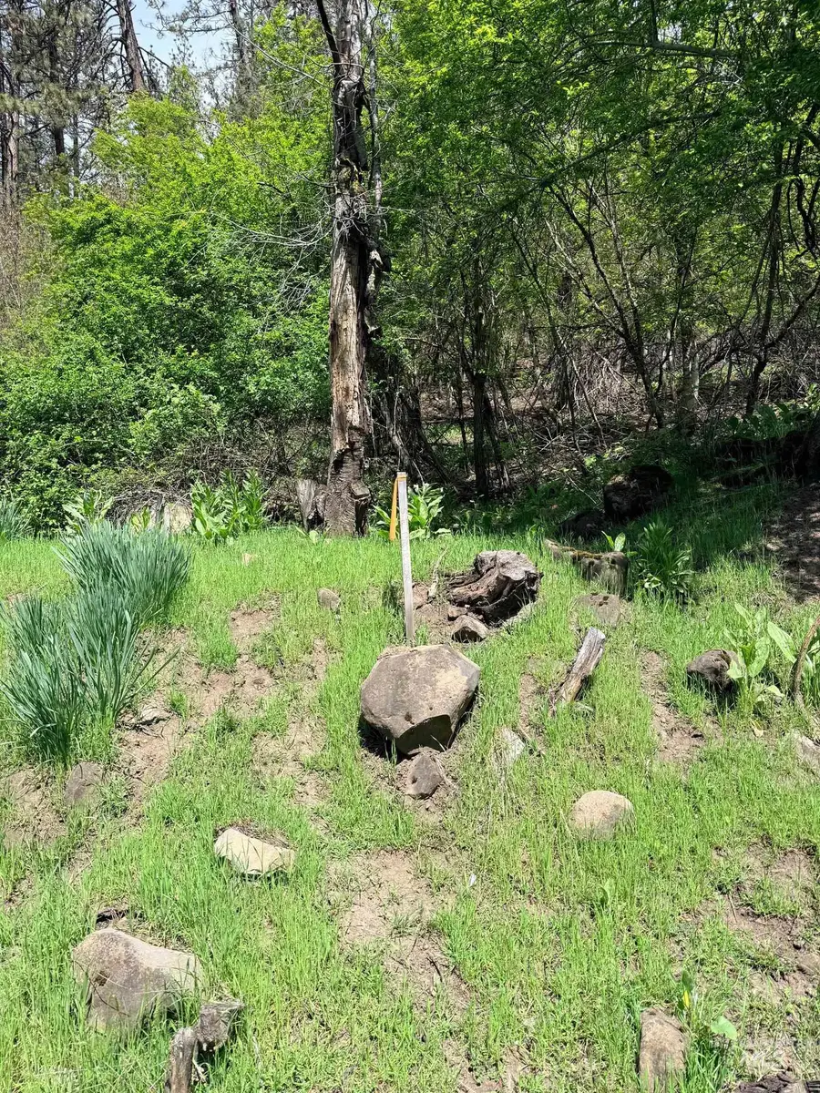 0 Forsman Ave, Orofino, ID 83544 - #2