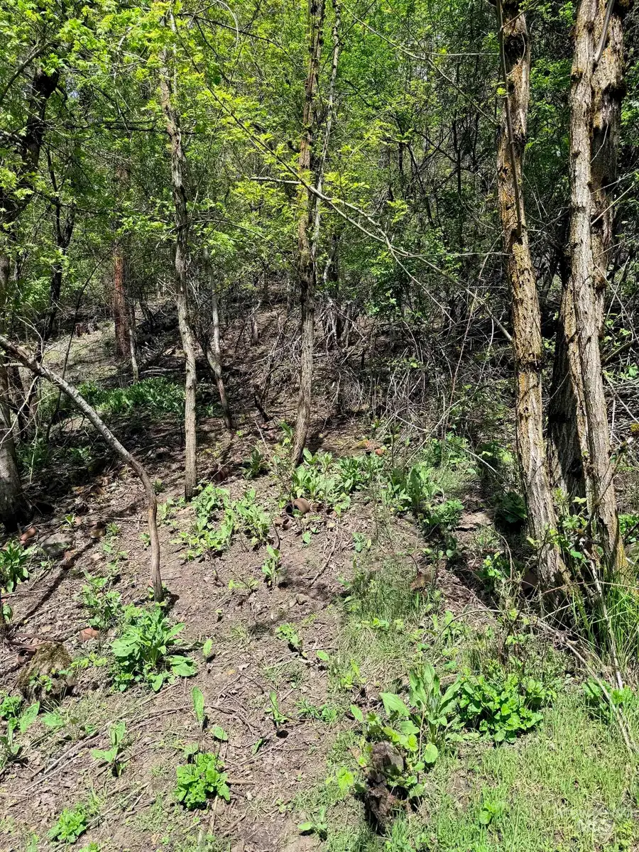 0 Forsman Ave, Orofino, ID 83544 - #3