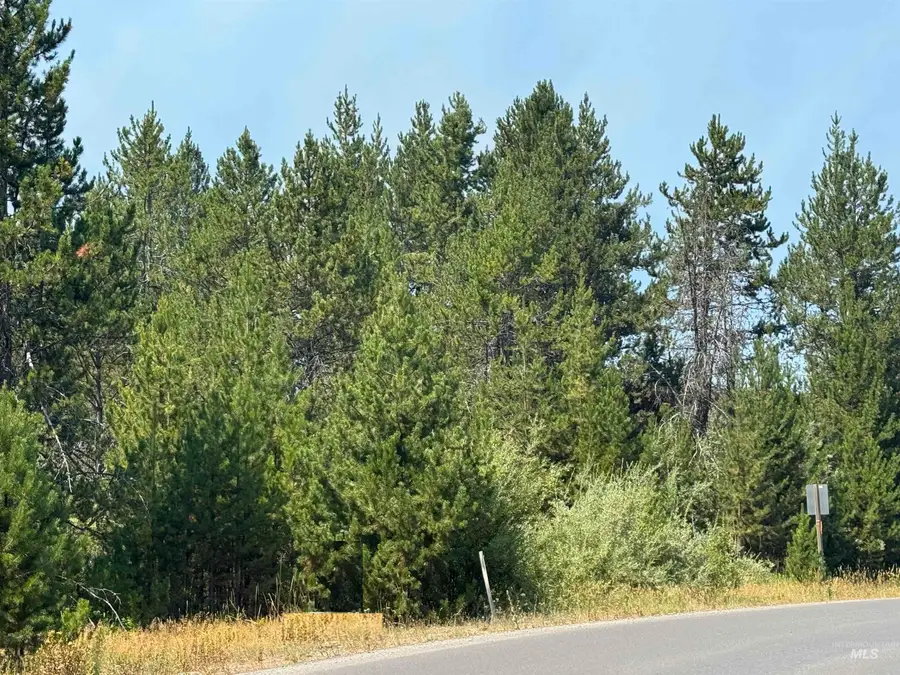 12937 Spring Valley Rd, Donnelly, ID 83615 - #3