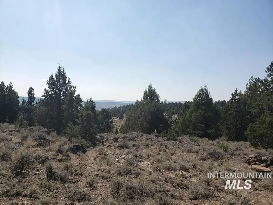 Tract 44 Triangle Ranch, Murphy, ID 83650 - #2