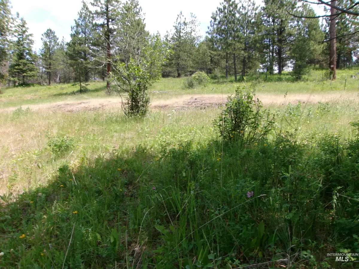 TBD Jackpine Rd, Cottonwood, ID 83522 - #1