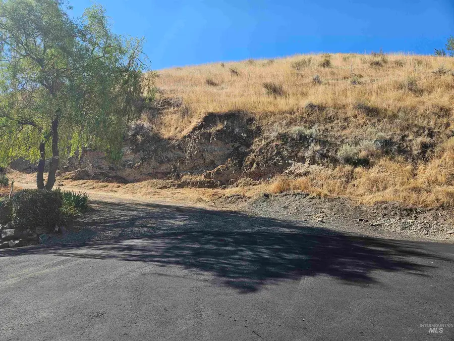 TBD Garfield St, Asotin, WA 99402 - #2