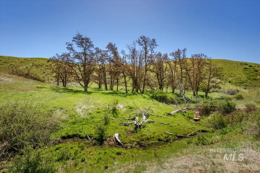 106xx Timber Butte Rd, Sweet, ID 83670 - #2