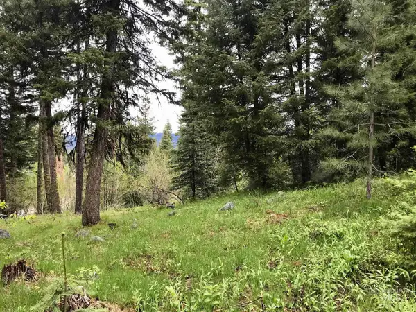 1160 Aspen Ridge Lane, McCall, ID 83638