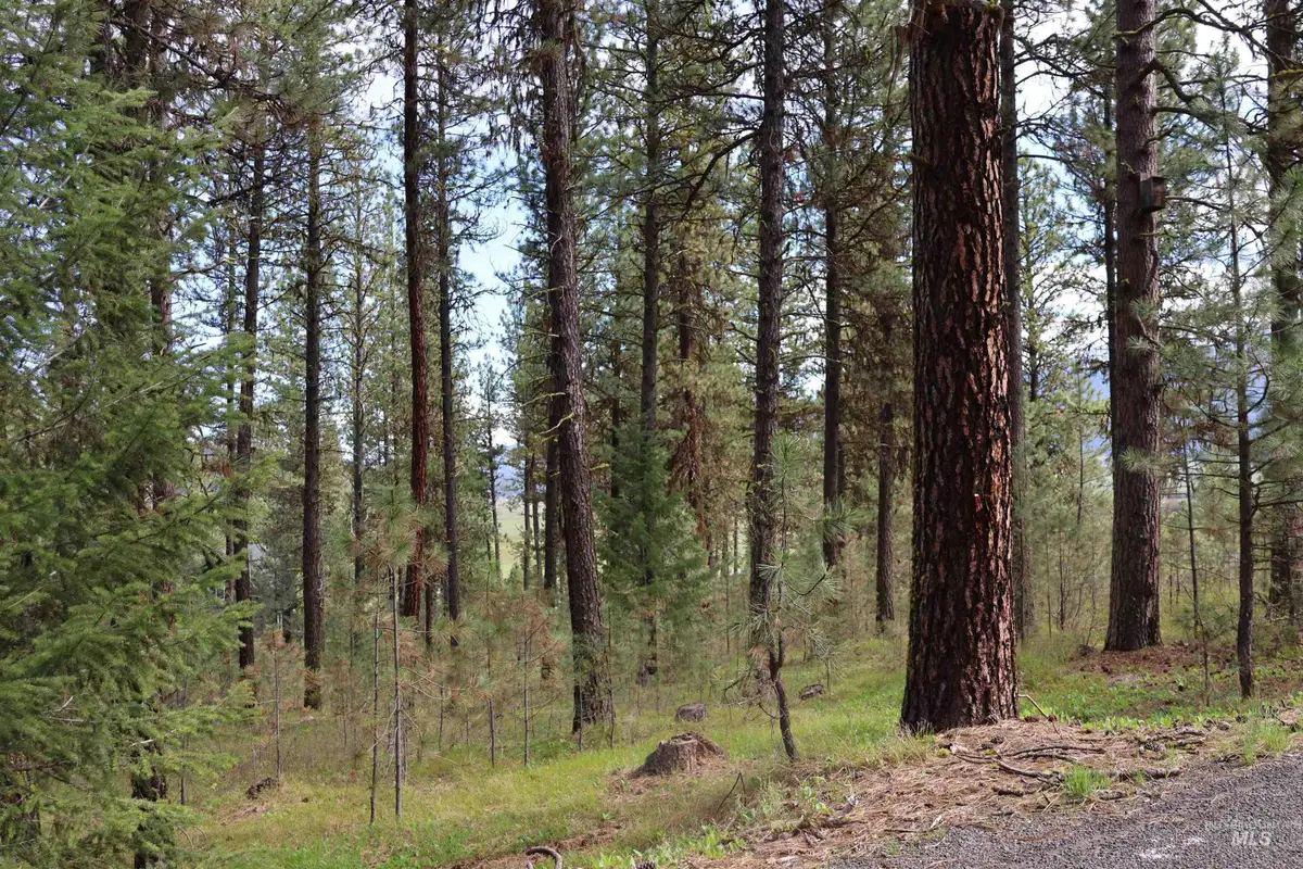 Lot 6 Hot Springs Road, New Meadows, ID 83654 - #1