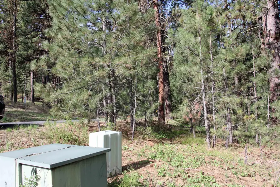 Lot 6 Hot Springs Road, New Meadows, ID 83654 - #2