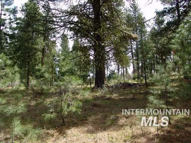 1483 Pine Lakes Ranch Rd, Cascade, ID 83611 - #2