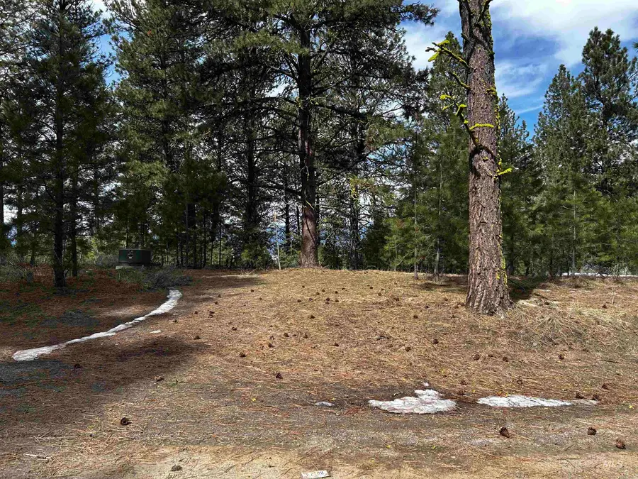 1483 Pine Lakes Ranch Rd, Cascade, ID 83611 - #3