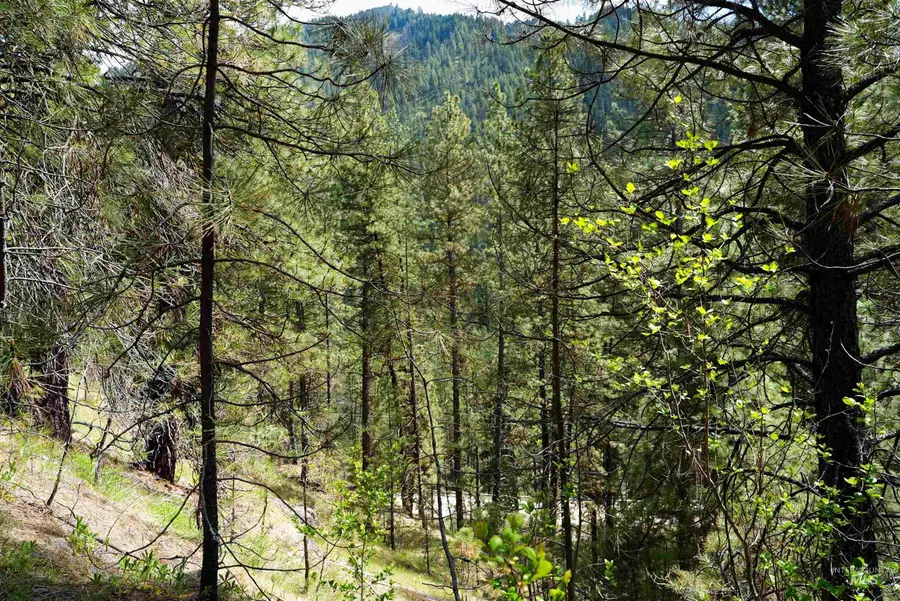 Lot 8 Fire Ridge Rd., Garden Valley, ID 83622 - #3