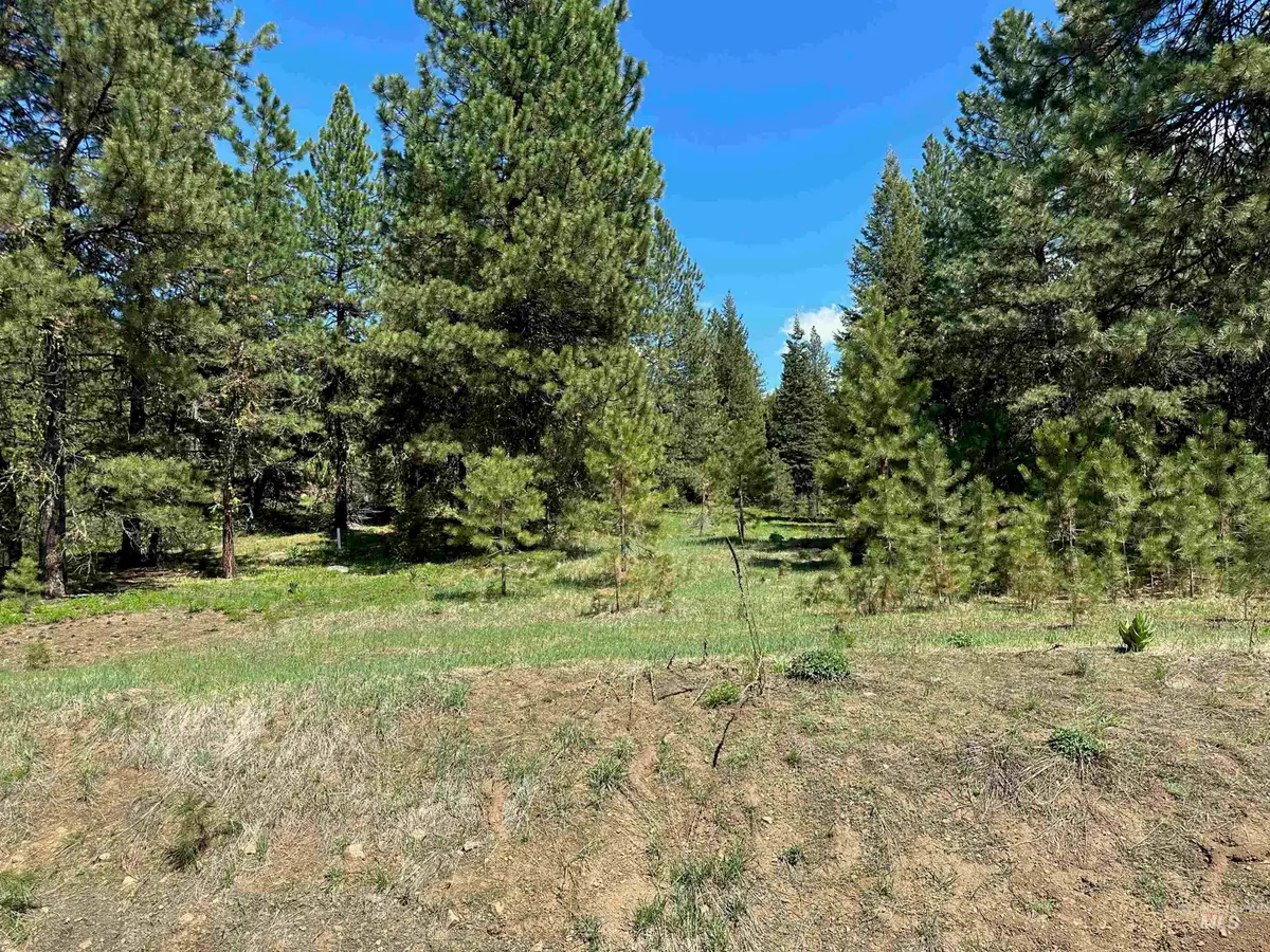 TBD Whitefield Lane, McCall, ID 83638 - #1