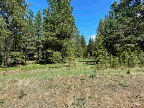 TBD Whitefield Lane, McCall, ID 83638