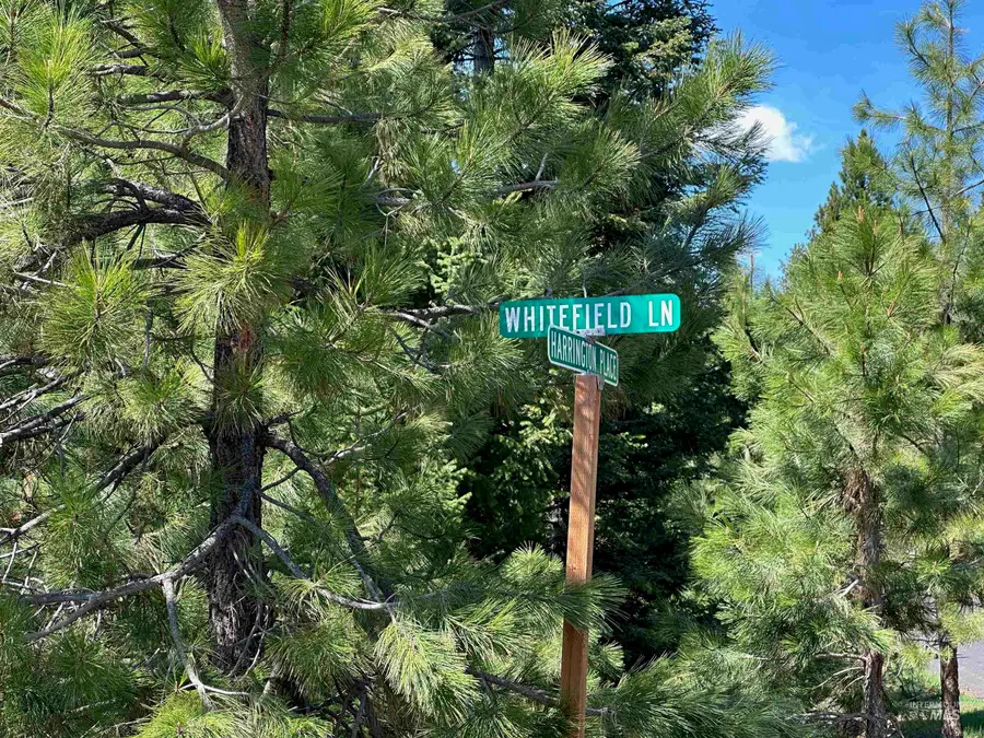 TBD Whitefield Lane, McCall, ID 83638 - #2