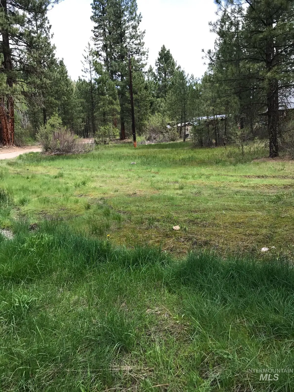 12 Woods Ln, Idaho City, ID 83631 - #1